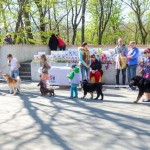 выставка собак, Новороссийск