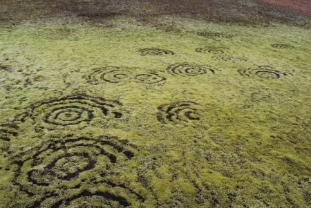 Fairy_ring_on_Iceland-580x388