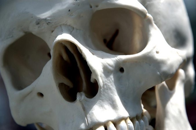 Человеческий череп. Фото: Стив Снодграсс/CC BY 2.0