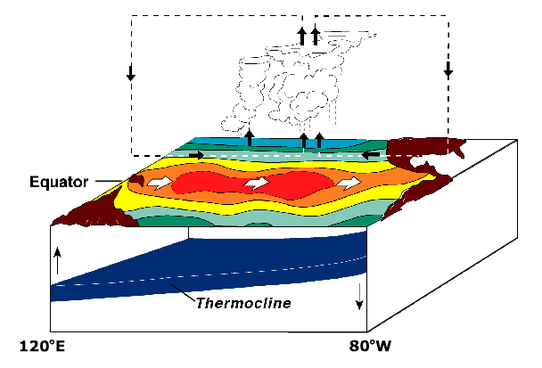 Условия образования Эль-Ниньо: массив тёплой воды движется к южноамериканскому побережью. Отсутствие поднимающихся с глубины холодных вод усиливает потепление. Фото: Wikier/wikipedia.org/ public domain