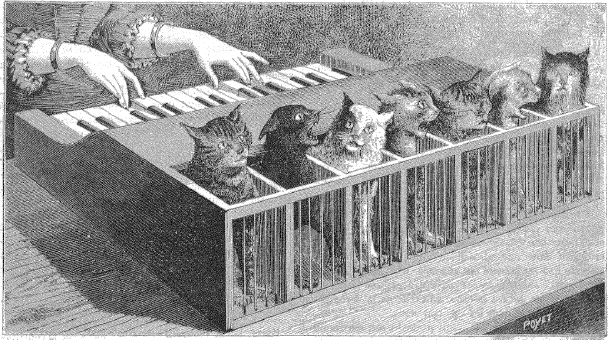 Кошачье пианино