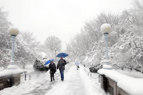 В Бостоне выпал снег. Фото: Darren McCollester/Getty Images