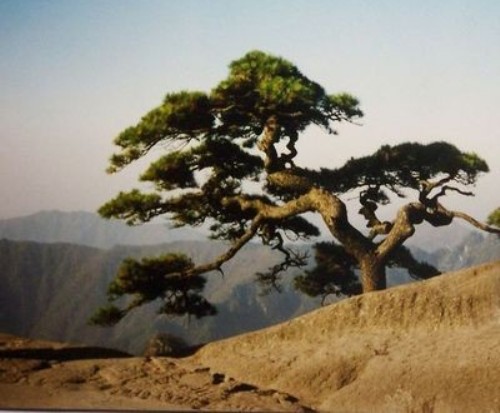 Фотообзор: Горы Хуаншань