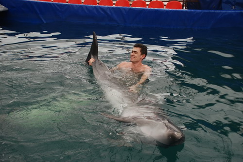 Фотообзор: Удивительные дельфины