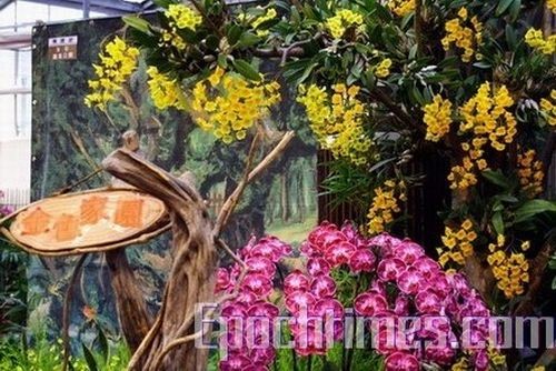 Фотообзор: В Тайване открылась выставка орхидей