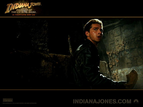 Кадр из фильма. Фото: indianajones.com