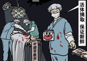 Рассказ очевидца: Как в Китае извлекают органы у живых людей