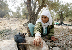 Женщина на Ближнем Востоке готовит кофе в оливковой роще. Фото: Saif Dahlah /AFP /Getty Images