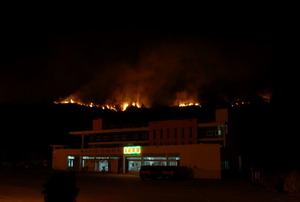 Лесной пожар в провинции Фуцзянь