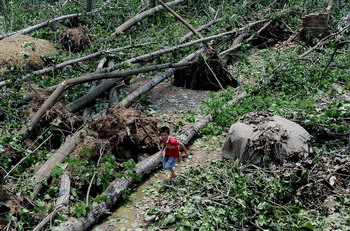 Разбушевавшаяся стихия повалила множество деревьев. 15 июня. Посёлок Фэнмяо провинции Аньхой. Фото с epochtimes.com
