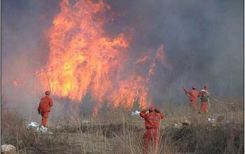 Пожар в провинции Шаньси. Фото с epochtimes.com