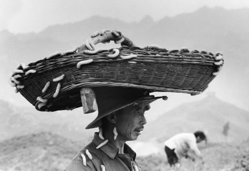 Крестьянин разводящий шелкопрядов. Провинция Хэнань. 1987 год. Фото: Zhao Zhenhai