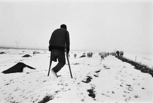Одноногий пастух на костылях пасёт стадо овец. Провинция Ганьсу. 1990 год. Фото: li Yuanji