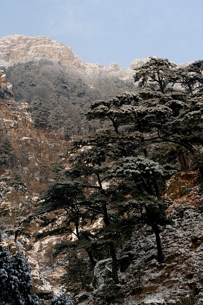 Гора Тайшань. Фото: Li Xiwen, Zen Zheng 