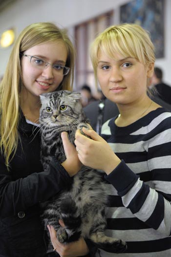 В павильоне 69 ВВЦ прошла выставка кошек, которые многие века служат нам верой и правдой. Фото: Николай Зуев