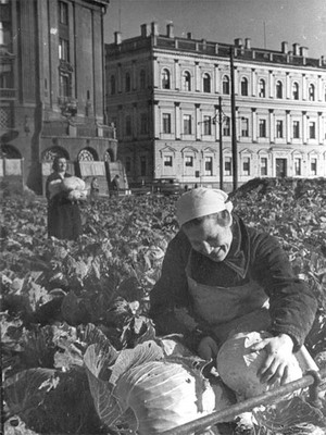 Огород в блокадном Ленинграде. Фото: Великая Эпоха