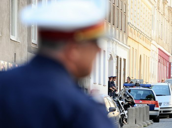 Ранены 11 человек в храме сикхов в Вене