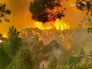 Австралия скорбит по погибшим в пожарах