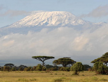 Вулкан Килиманджаро - высочайшая точка Африканского континента. Фото: AHMAD AL-RUBAYE/AFP/Getty Images