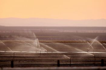 Орошение полей на Центральных равнинах Калифорнии. В этой местности фермеры и рабочие уже третий год страдают от все усиливающей засухи, которая вызвала чрезвычайный дефицит воды и стала причиной безработицы. Фото: David McNew /Getty Images