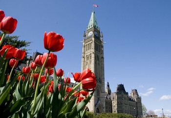 Канадские парламентарии создали организацию «Парламентские друзья Фалуньгун»