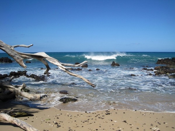 Запланируйте, по крайней мере, один день на то, чтобы насладиться океаном. Есть много пляжей на выбор - оживленные и полные мероприятий, или тихие и уединенные. Фото: MWmedia & Ken Lara
