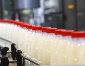 Власти обещают обеспечить Горный Алтай местным молоком