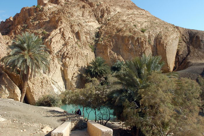 Бедуинский оазис Кфар-Ханокдим в Израиле предлагается посетить туристам