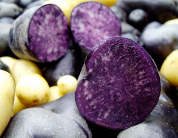Фиолетовый картофель снижает артериальное давление. Фото с сайта pomidom.ru/