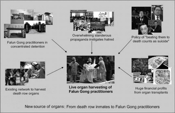 Вынужденные доноры: опровержение ссылок официальным Пекином на «органы казненных заключенных» (Часть 9)