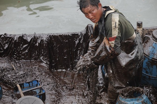 В Китае продолжается борьба с растущим нефтяным пятном. Фоторепортаж