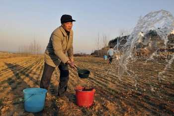 Китайские крестьяне не хотят заниматься сельским хозяйством