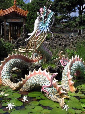 Китайский дракон — миф или реальное существо?