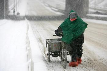 Пекин засыпало снегом. Фото: AFP