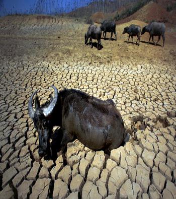 Засуха в Китае охватила около 4 миллионов гектар посевов.На фото уезд Шилинь провинции Юньнань. Фото: AFP/AFP/Getty Images.