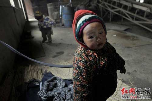 Китай. Пока родители работают, дети сидят на привязи. Фотообзор
