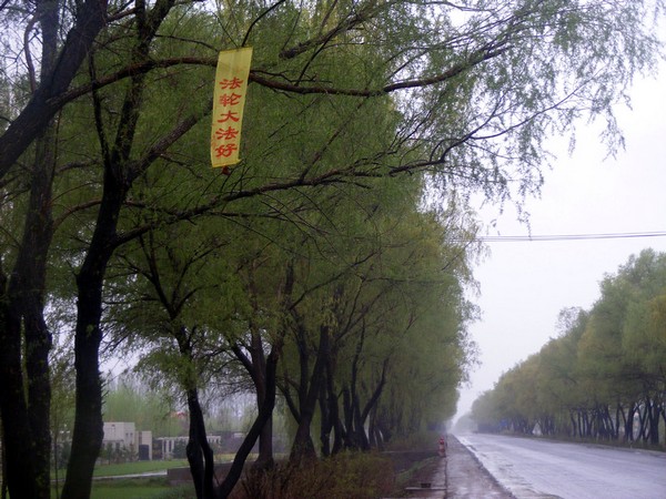 На улицах китайских городов появились транспаранты преследуемой режимом практики Фалуньгун