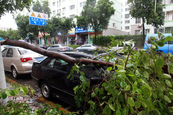 Тайфун  «Фанаби» бушует в Китае