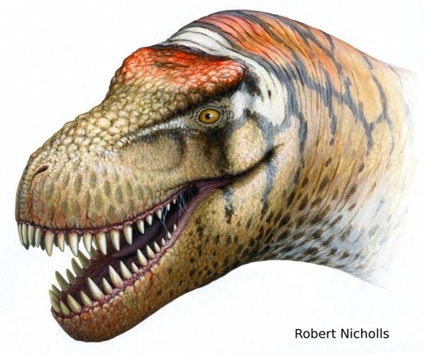 В Китае обнаружен новый вид окаменелости - тираннозавр. Фото:epochtimes/com