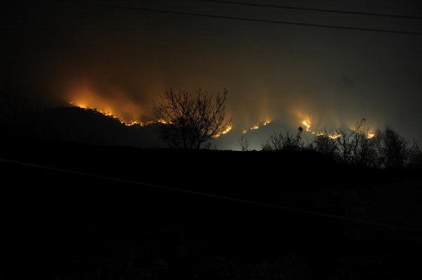 Пожар бушует на в отдаленном горном районе Циньхуандао, северо-востоке провинции Хэбэй Китая. Фото: Getty Images.
