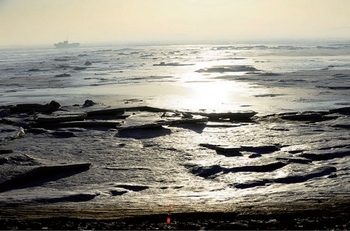Бохайский залив постепенно «умирает» от загрязнения. Фото: AFP/Getty Images