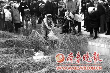 Местные жители вместе с полицией собирают мёртвых младенцев, выброшенных на обочину дороги. Провинция Шаньдун. Февраль 2012 год. Фото: sjb.qlwb.com.cn