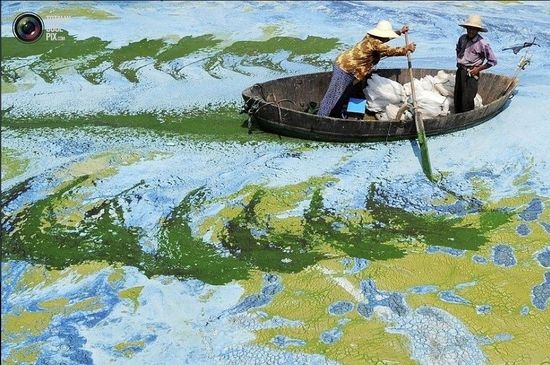 Китайские реки не выдерживают ускоренных темпов экономического роста. Фото с epochtimes.com