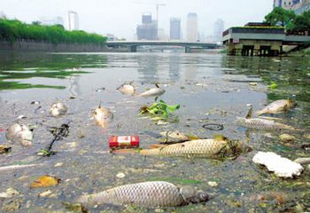Чиновнику в Китае предложили за круглую сумму проплыть в грязной реке