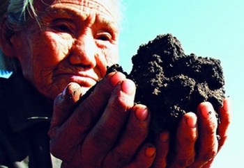 В Китае почва загрязнена тяжёлыми металлами. Фото с epochtimes.com