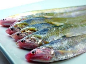 Рыба псефур на грани исчезновения в Янцзы