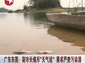 На юге Китая в водохранилище произошёл массовый мор рыбы
