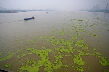 В Китае сильно загрязнены более 90% рек и озёр. Фото с epochtimes.com