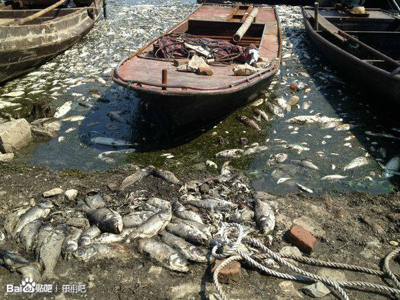 В результате первого этапа проекта поворота рек в Китае, погибла вся рыба в озере Дунпин. Деревня Гулун провинции Шаньдун. Июнь 2013 года. Фото с epochtimes.com