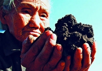 Десятки миллионов гектар земли в Китае загрязнены тяжёлыми металлами. Фото с epochtimes.com